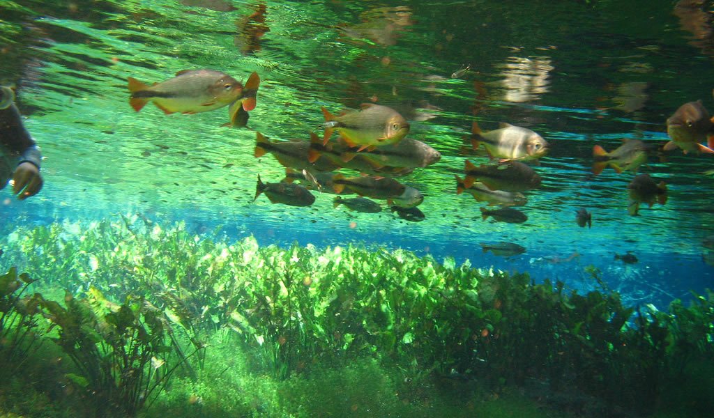 Como ir para Bonito MS